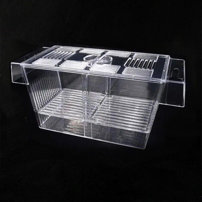 Large Aquarium Breeding Box