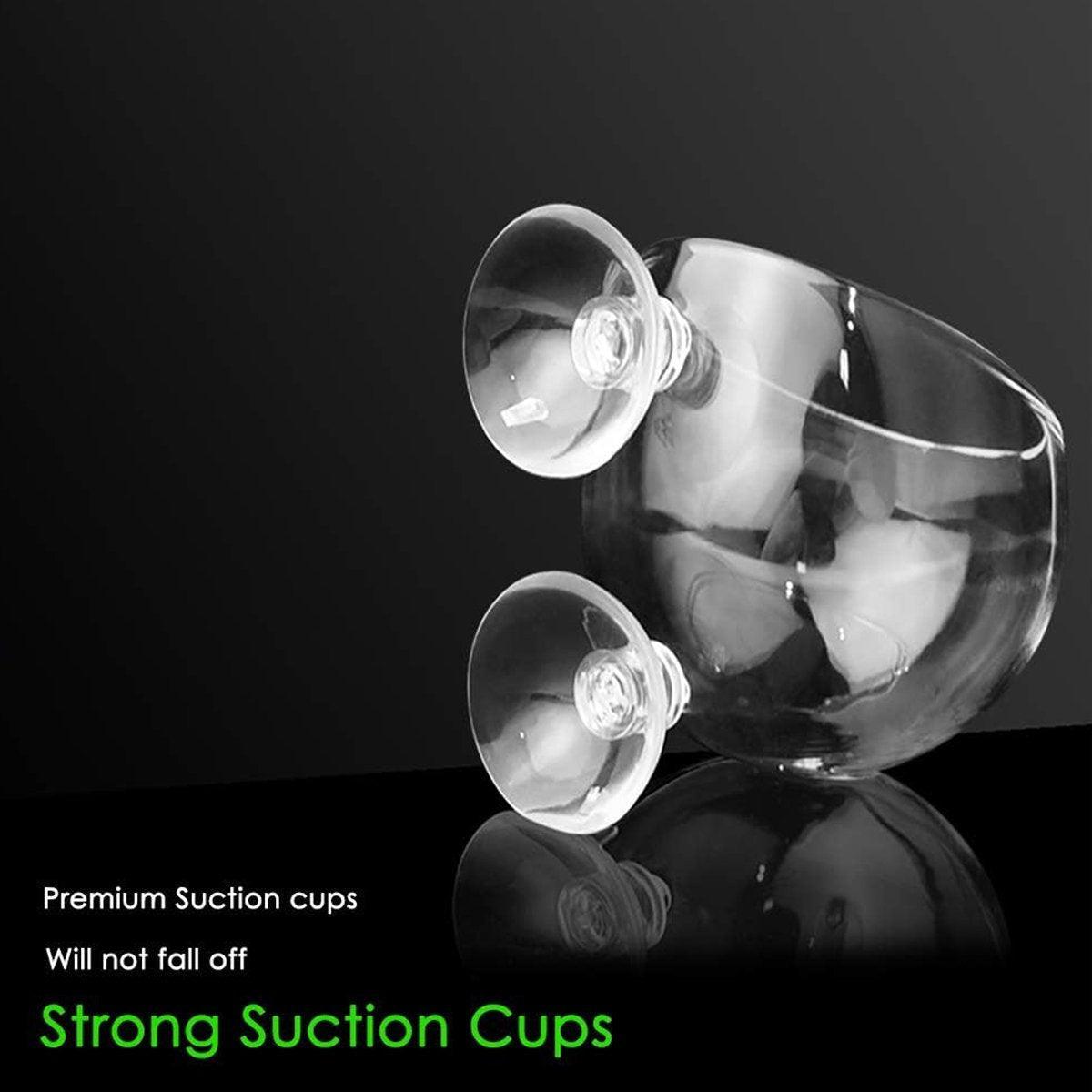 Glass Plant Holder - 2PCS