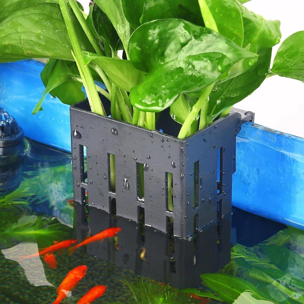 Aquarium Plant Holder - Black