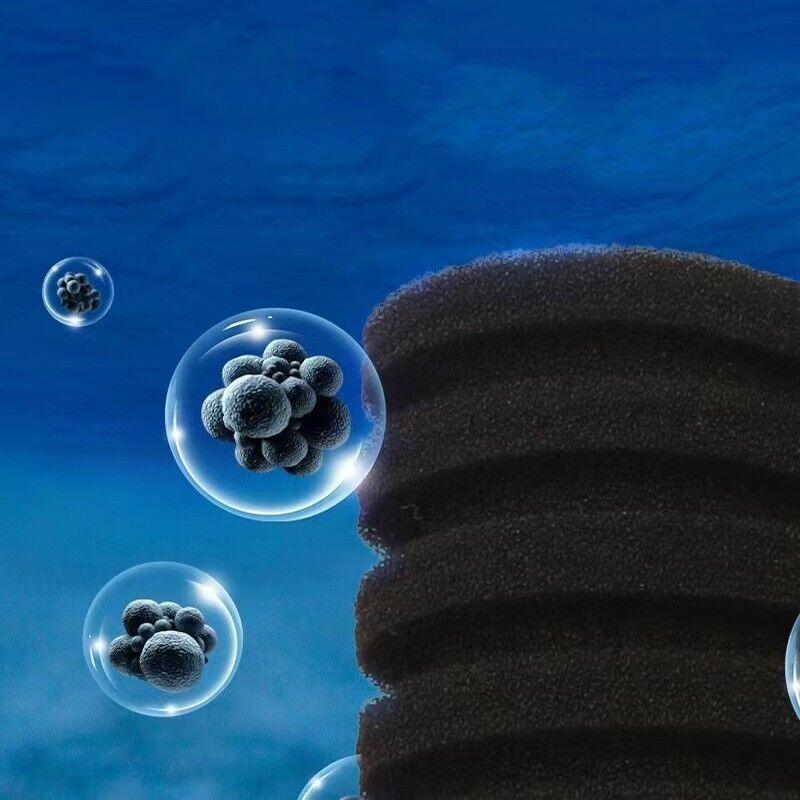 Double Head Sponge Filter with Bio Media compartments