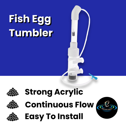 Fish Egg Tumbler