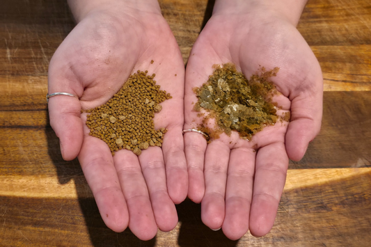 A top-down view of two hands holding aquarium fish food, with fish pellets in the left palm and fish flakes in the right palm over a wooden background.