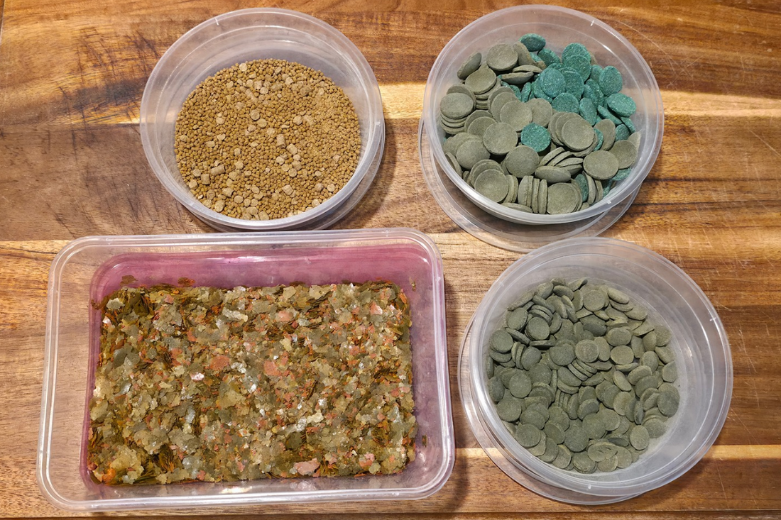 A variety of aquarium fish foods in clear containers including fish pellets, community flakes, algae wafers, and sinking catfish pellets over a wooden background.