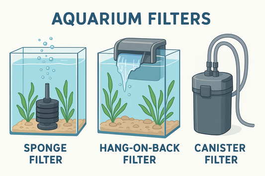 A front view diagram of 3 different types of beginner friendly filtration options, sponger filters, hang on back (hob) filters and canister filters