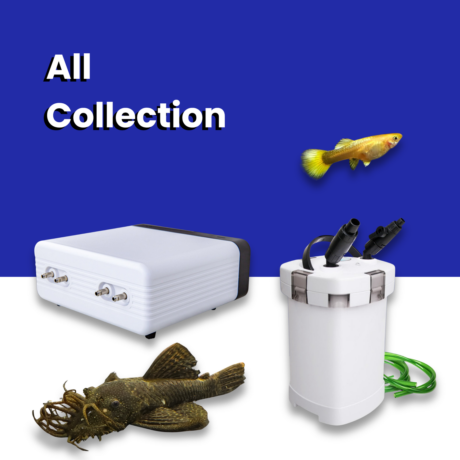 All Collection - Collection of everything in store for all your aquatic needs - supplies from filters, pumps and lights to aquarium fish from livebarers, chichlids and catfish