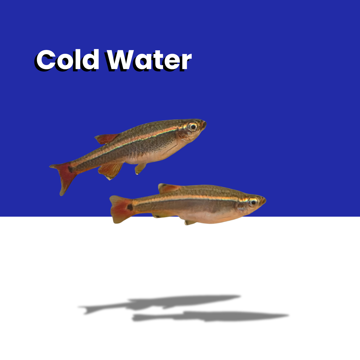 Cold water