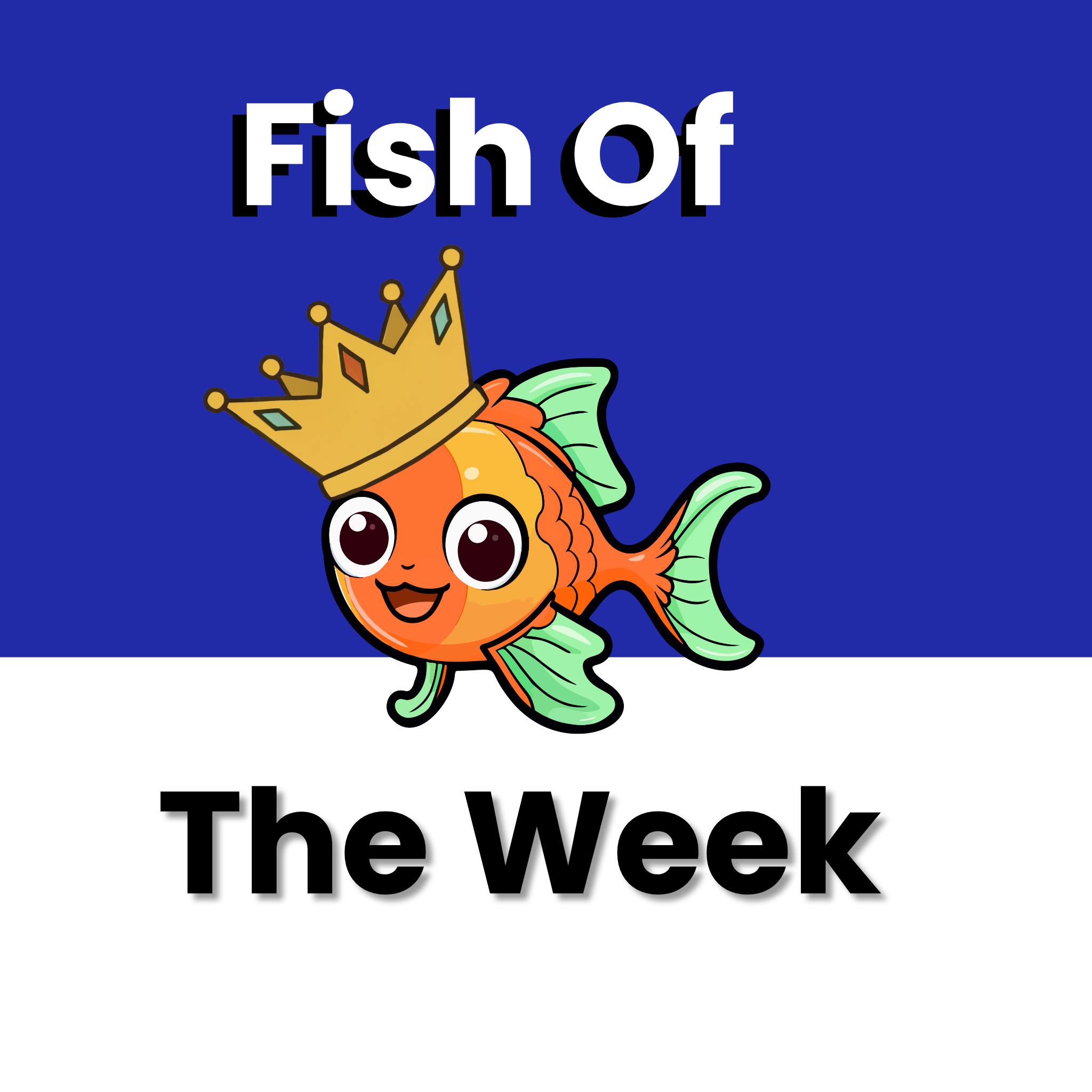 Fish Of The Week
