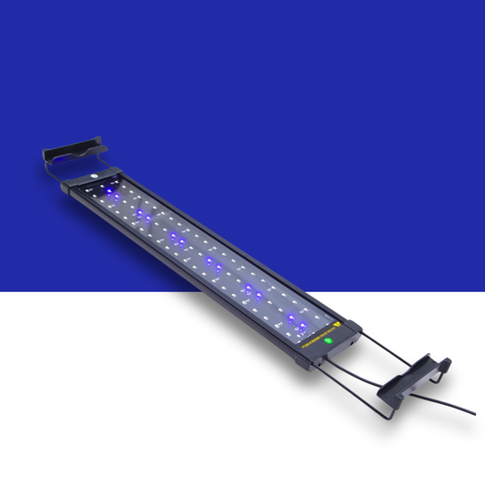 Blue and white LED light bar on a blue and white background