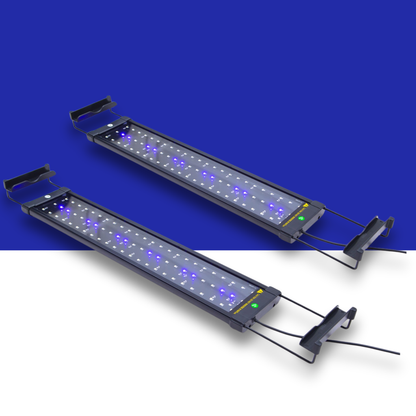 Two LED blue and white LED light bars on a blue and white background