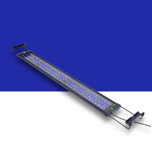 Blue and white LED light bar on a blue and white background
