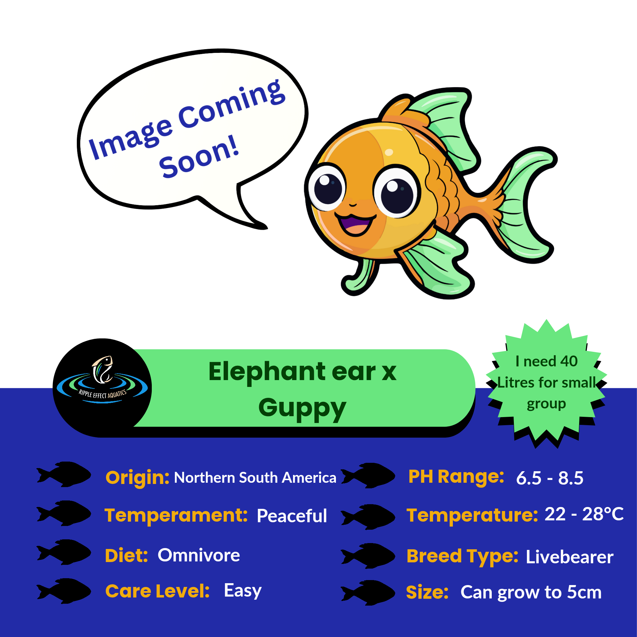 Placeholder image with a cartoon fish and text about an 'Elephant ear x Guppy' fish, indicating 'Image Coming Soon!'.