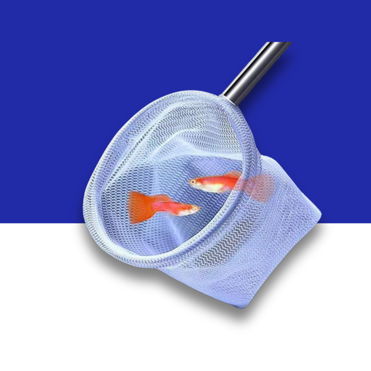 Fishing net with two small fish on a blue and white background