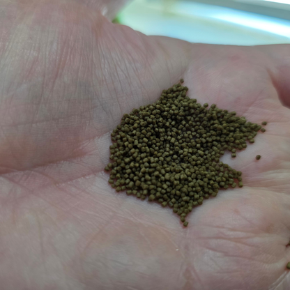 Small pile of 1mm Frenzy Fish Food held in a person's palm