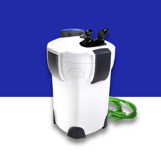 White and black aquarium canister filter with green hosing on a blue and white background