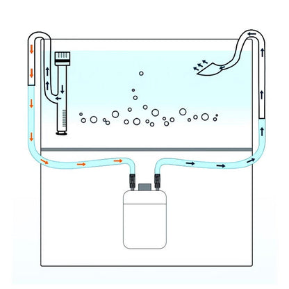Diagram of a water filter system using the 12mm lily pipe set with bubbles in the tank
