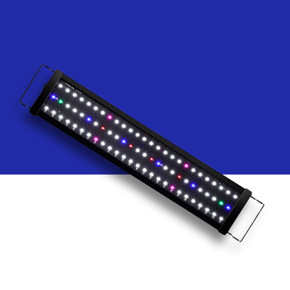 I Pet RGB LED light strip on a blue and white background displaying red, blue, green, pink and white lights