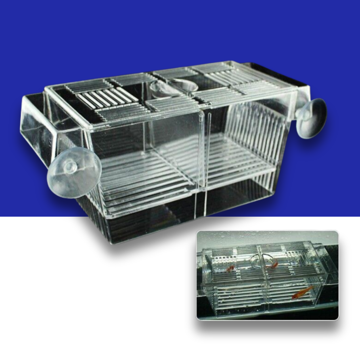 Clear plastic Live Bearer breeding box on a white and blue background