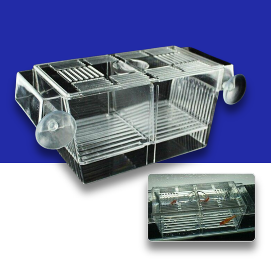 Clear plastic Live Bearer breeding box on a white and blue background