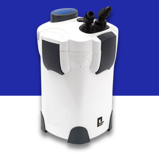 PROTEGE P2000 External Canister Filter - 1250L/H