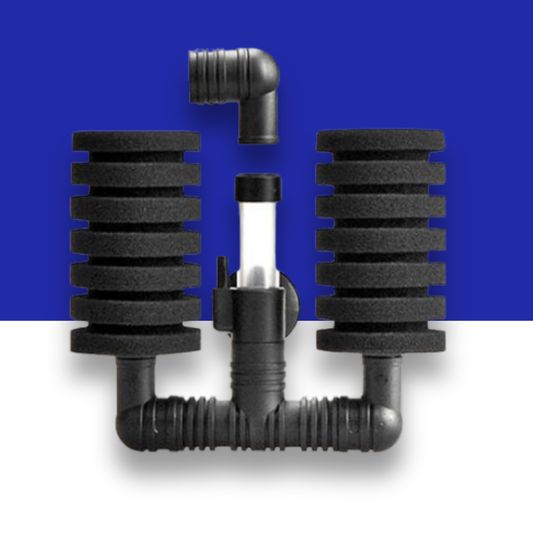 Dual Head Sponge Filter on a blue and white background