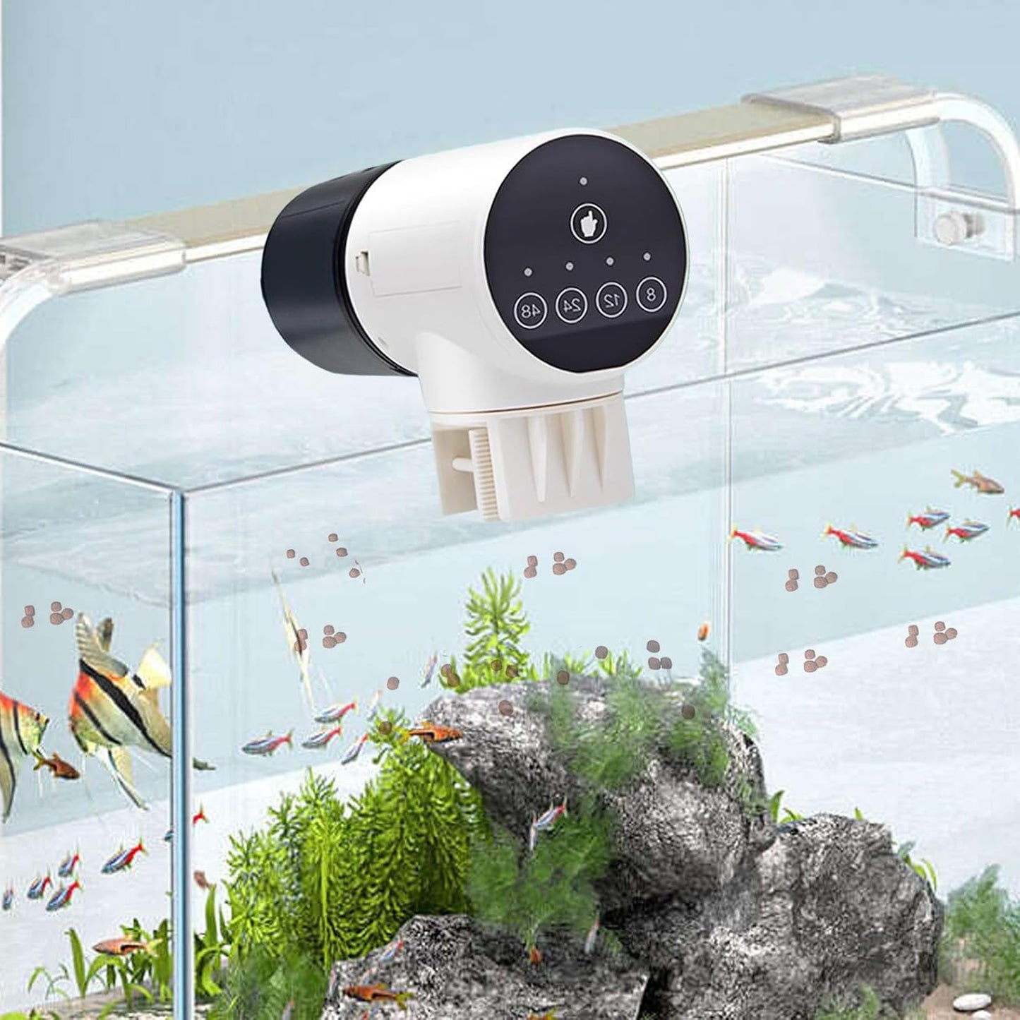 Carla Home - Automatic Fish Feeder