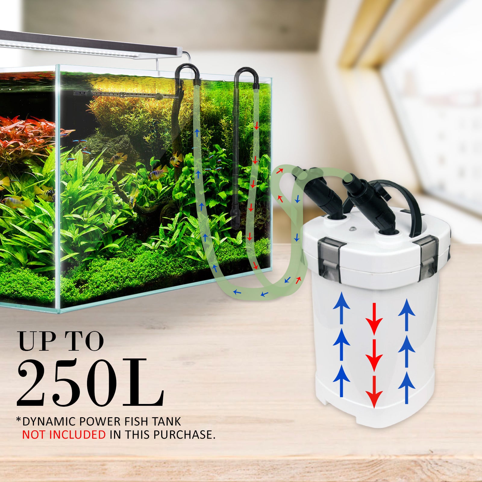 Dynamic Power External Canister Filter - 1000L/H