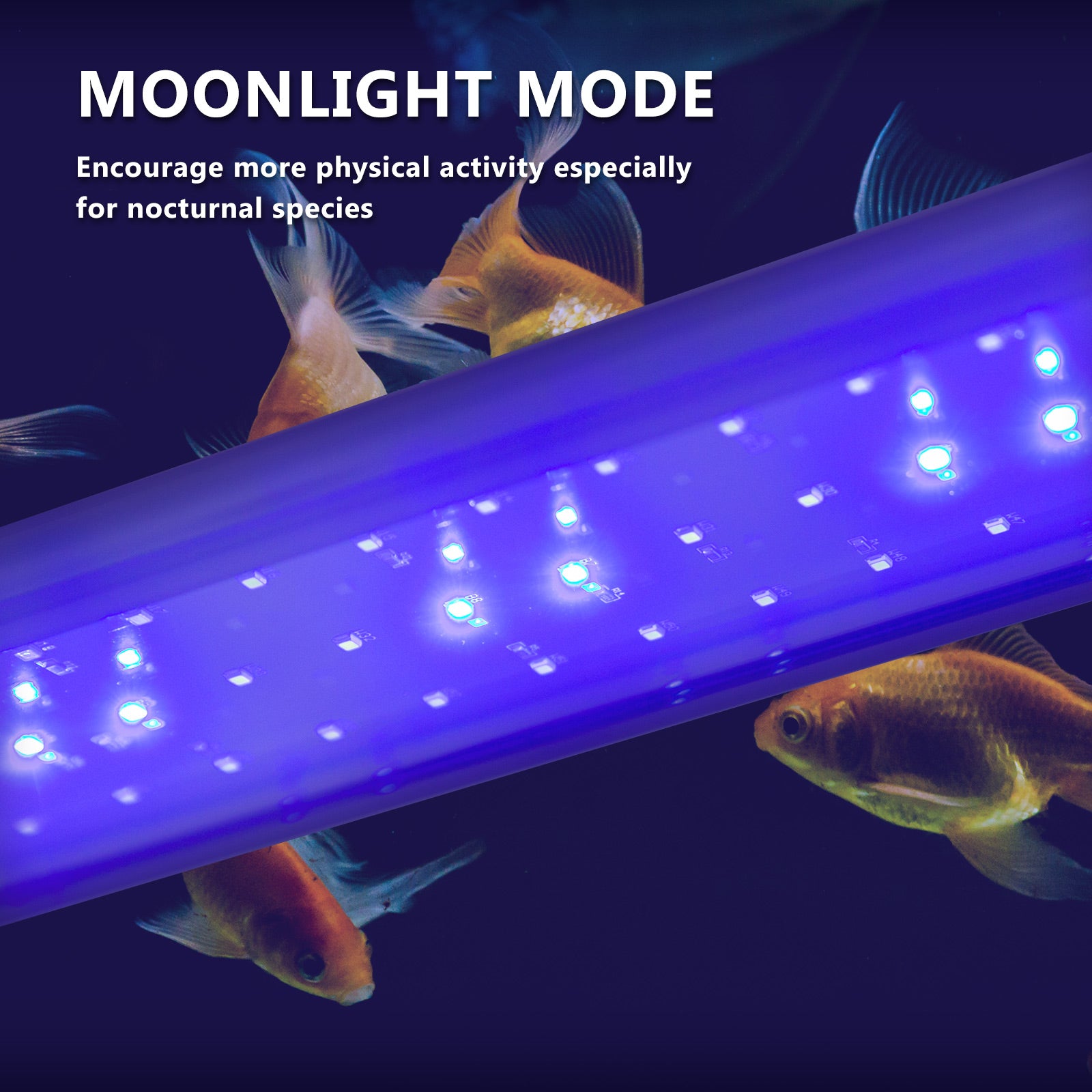 Dynamic Power 27W LED Light Blue/White - 95-115cm