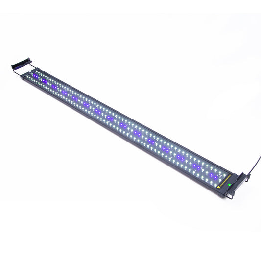 Dynamic Power 33W LED Light Blue/White - 120-140cm