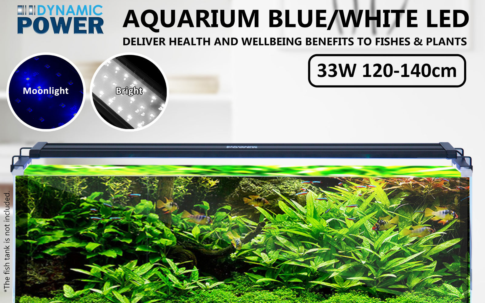 Dynamic Power 33W LED Light Blue/White - 120-140cm Combo