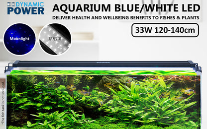 Dynamic Power 33W LED Light Blue/White - 120-140cm Combo