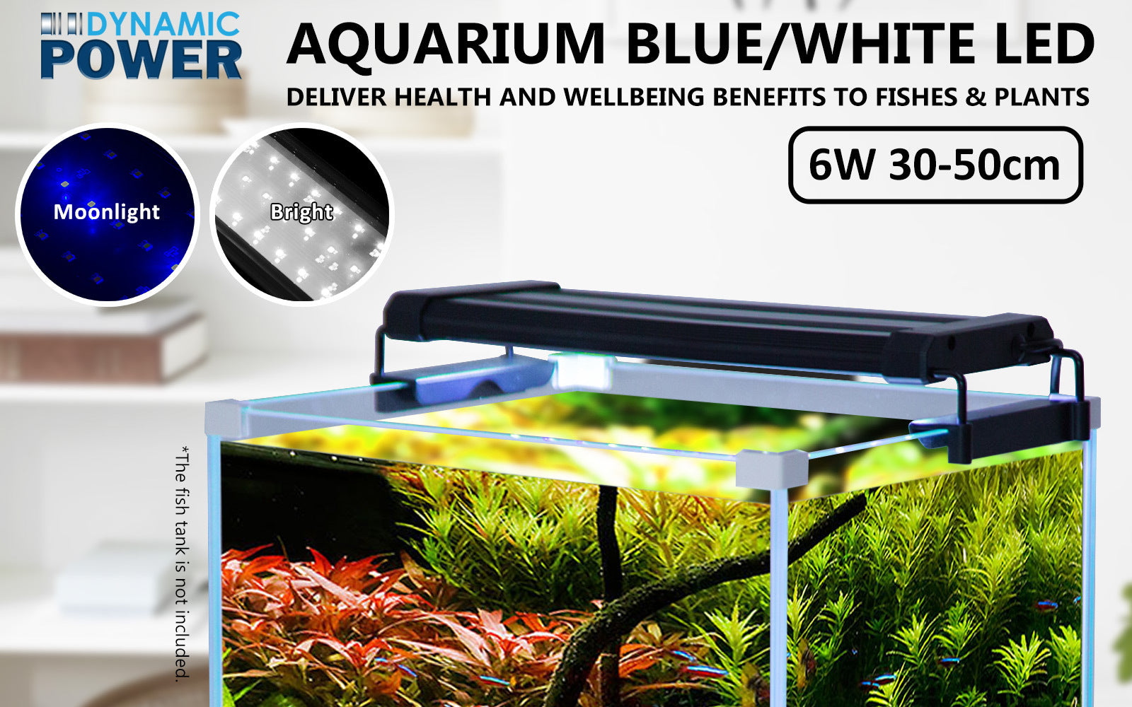 Dynamic Power 6W LED Light Blue/White - 30-50cm Combo
