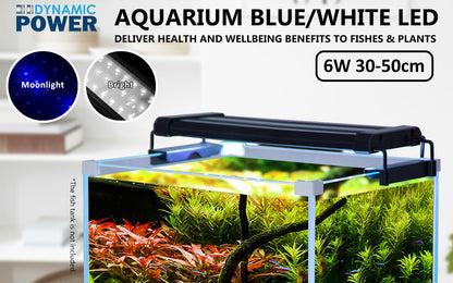 Dynamic Power 6W LED Light Blue/White - 30-50cm Combo