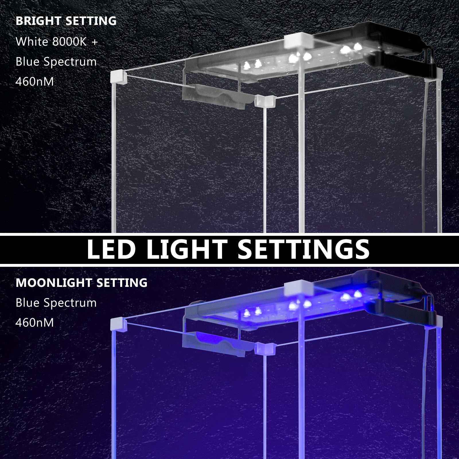 Dynamic Power 6W LED Light Blue/White - 30-50cm Combo