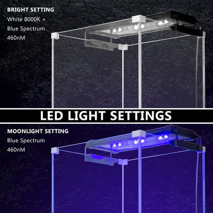 Dynamic Power 6W LED Light Blue/White - 30-50cm Combo
