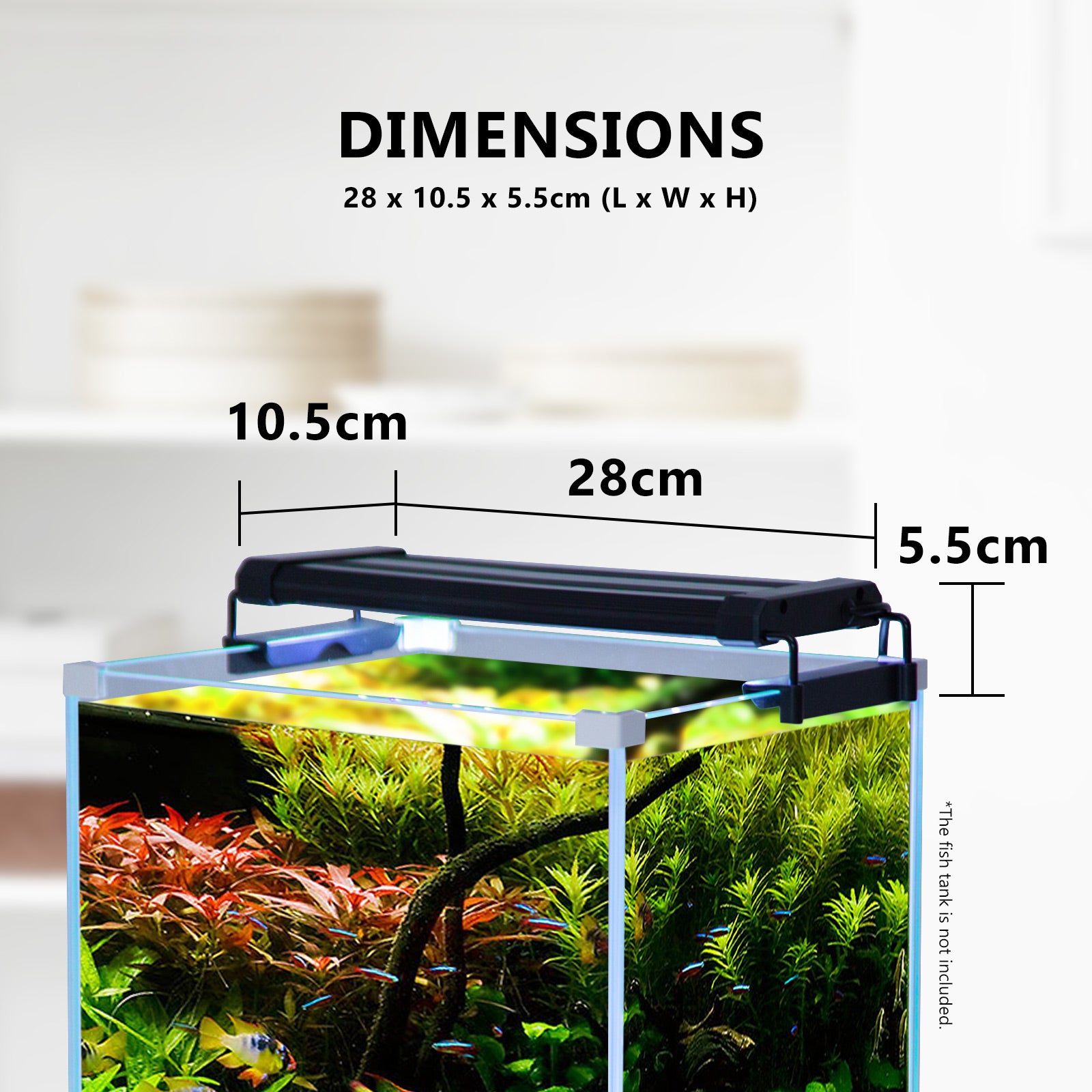 Dynamic Power 6W LED Light Blue/White - 30-50cm Combo