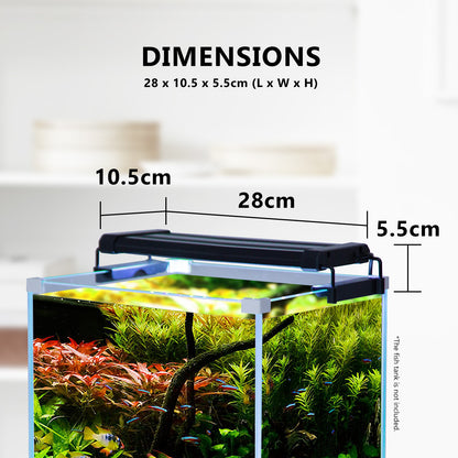 Dynamic Power 6W LED Light Blue/White - 30-50cm Combo