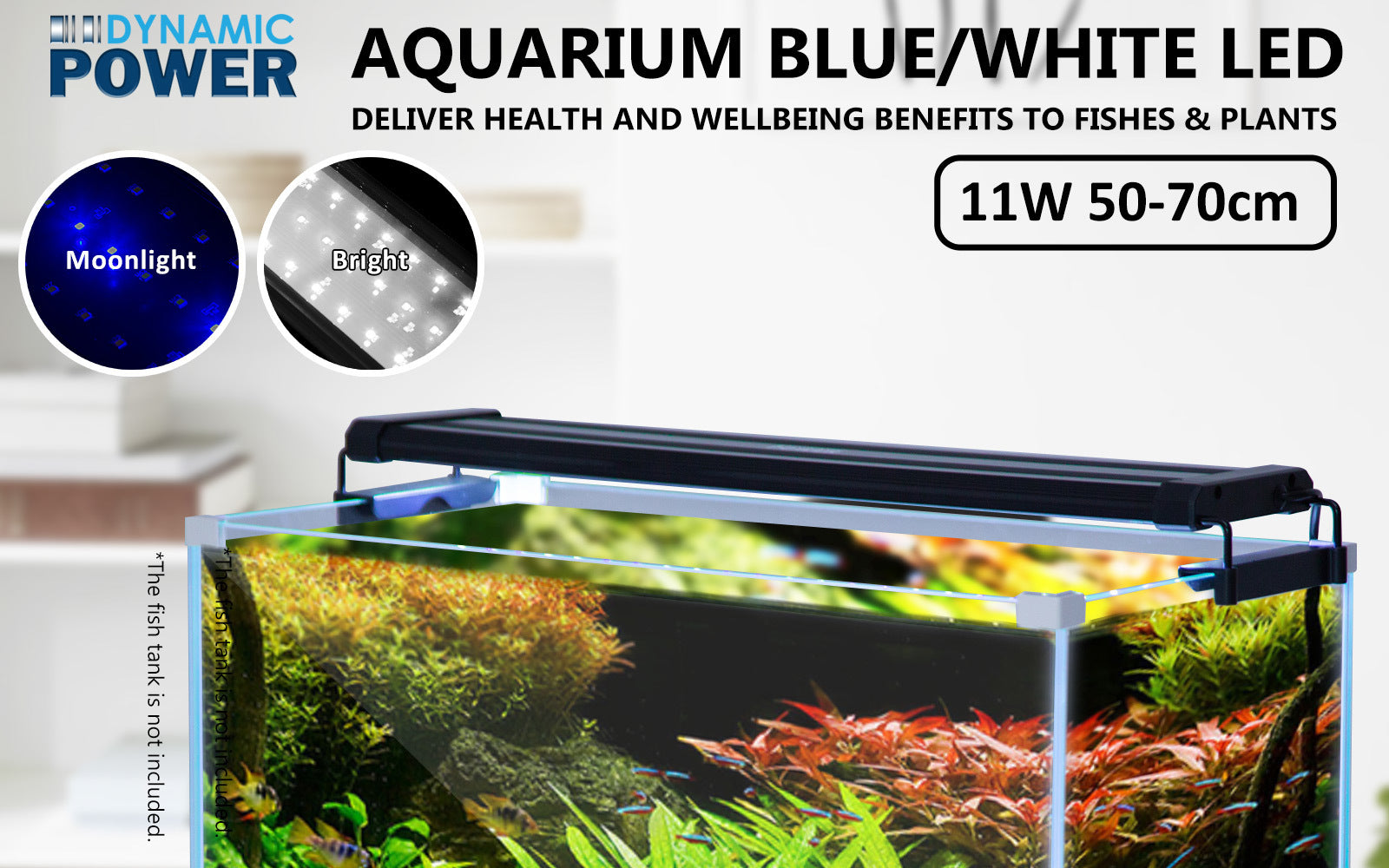 Dynamic Power 11w LED Light Blue/White - 50-70cm Combo