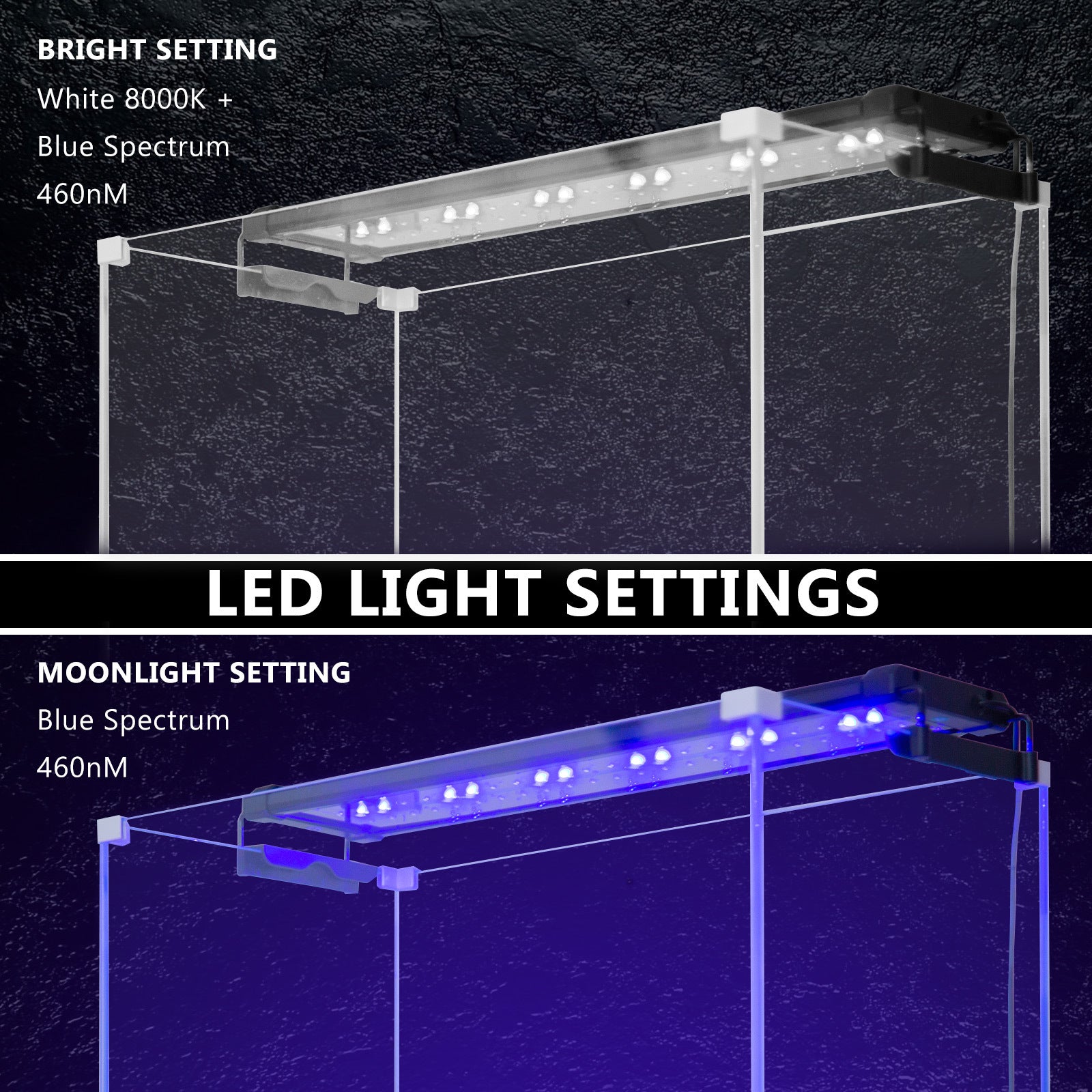 Dynamic Power 11w LED Light Blue/White - 50-70cm Combo