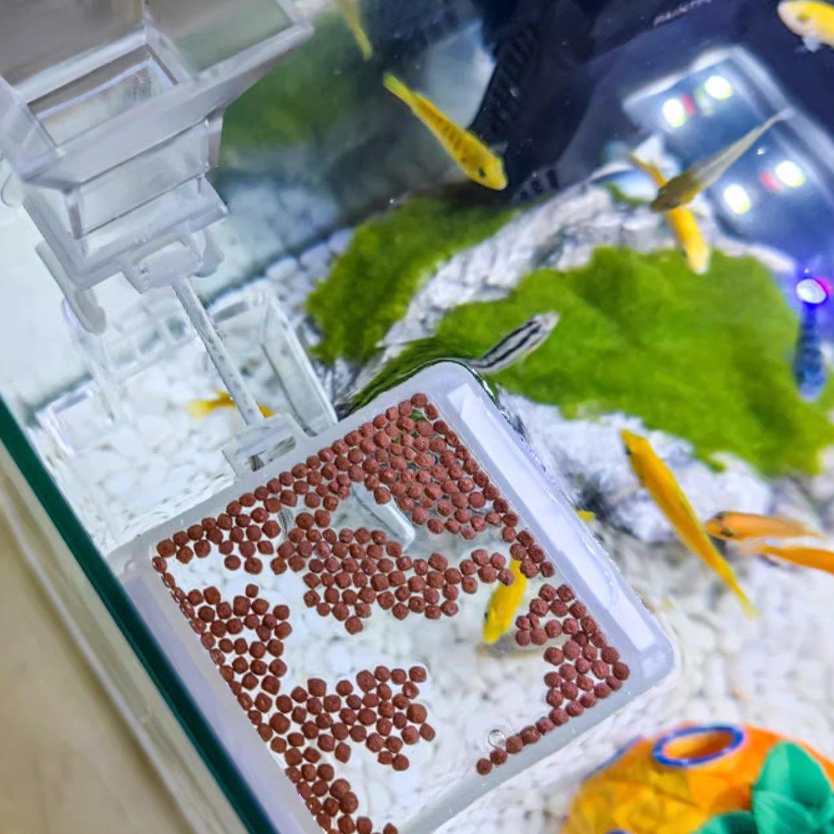 Aquarium Bottom Feeder Food Catcher