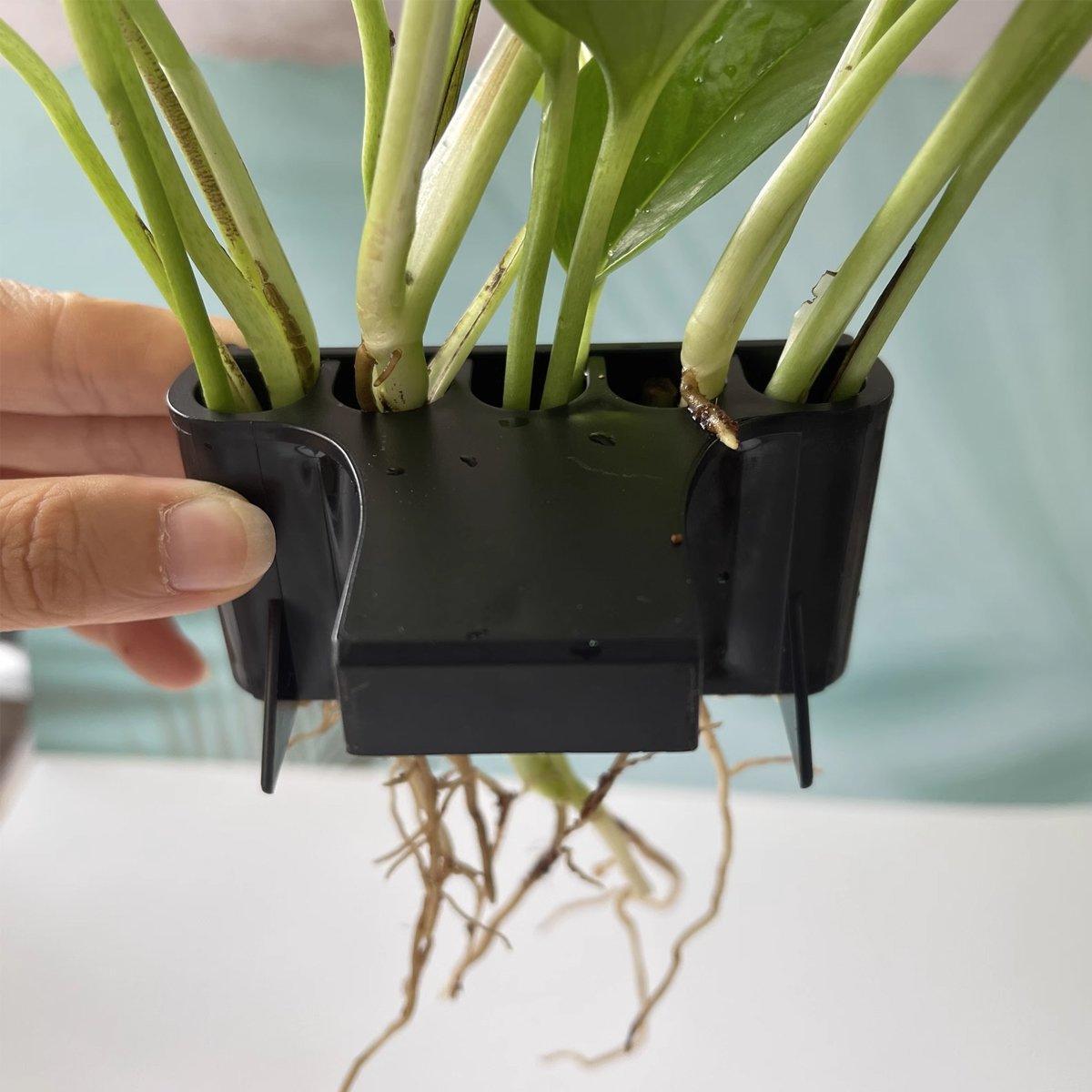 Hanging Aquarium Plant Holder – Aquascaping