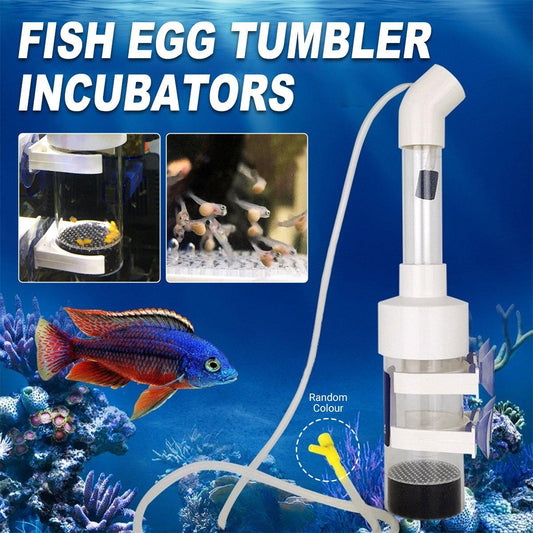 Fish Egg Tumbler