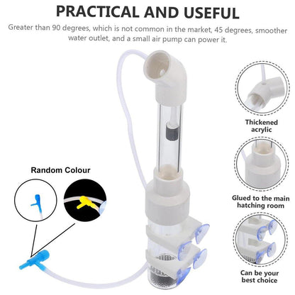 Fish Egg Tumbler