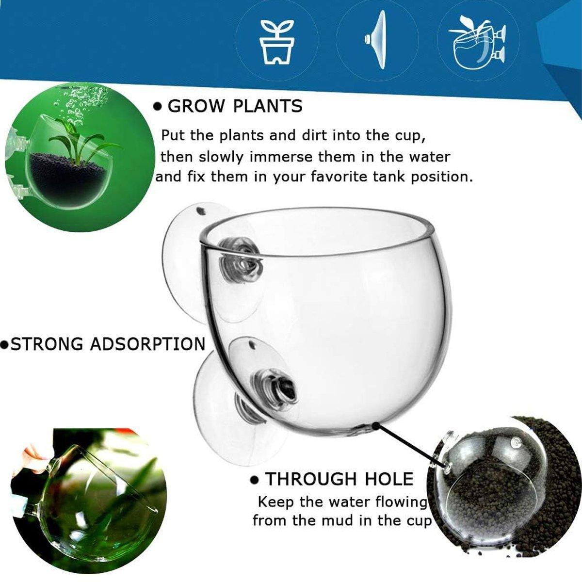 Glass Plant Holder - Aquascaping