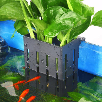 Aquarium Plant Holder - Black