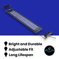 Dynamic Power 11w LED Light Blue/White - 50-70cm