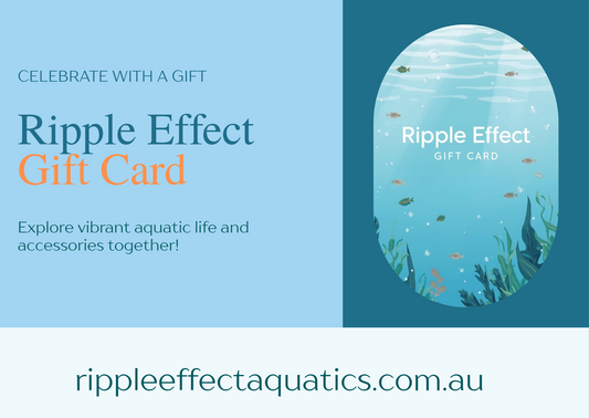 Ripple Effect E-Gift Card