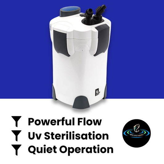 PROTEGE P2000 External Canister Filter - 1250L/H