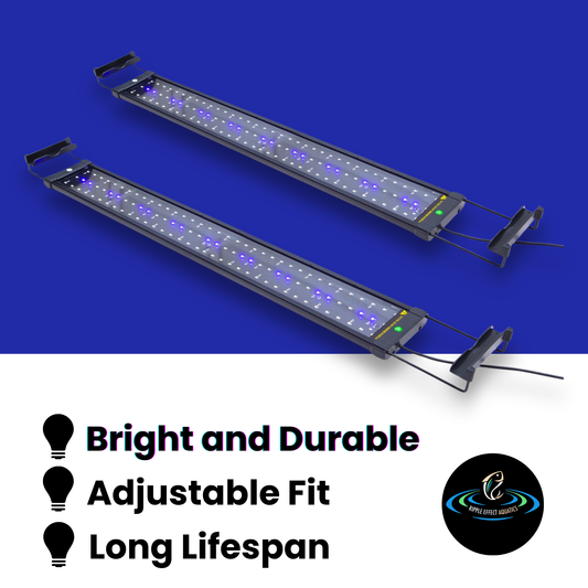 Dynamic Power 18w LED light Blue/White - 75-95cm Combo