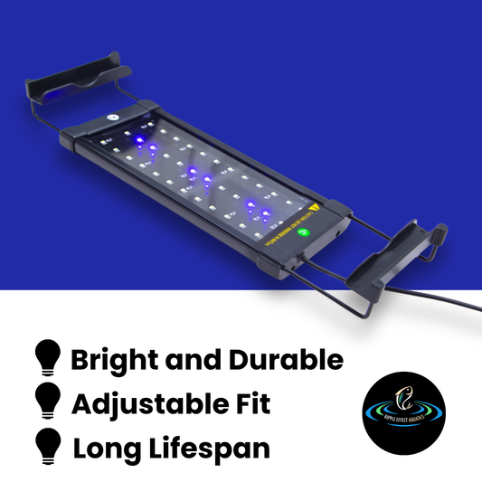 Dynamic Power 6W LED Light Blue/White - 30-50cm