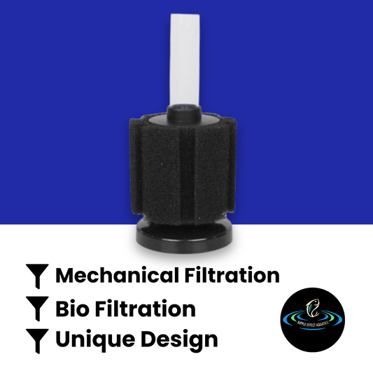 Sponge Filter - Type 5